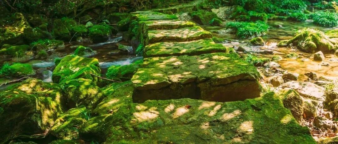 这个红遍抖音的小众目的地，居然藏了中国80%的极致美景!