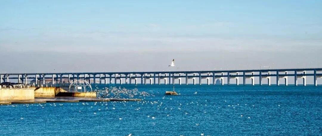 美过青岛!比厦门浪漫!这座中国海滨老城，去一次相当于环游世界!