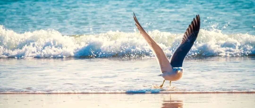 六七月份千万别来这10个地方，因为…