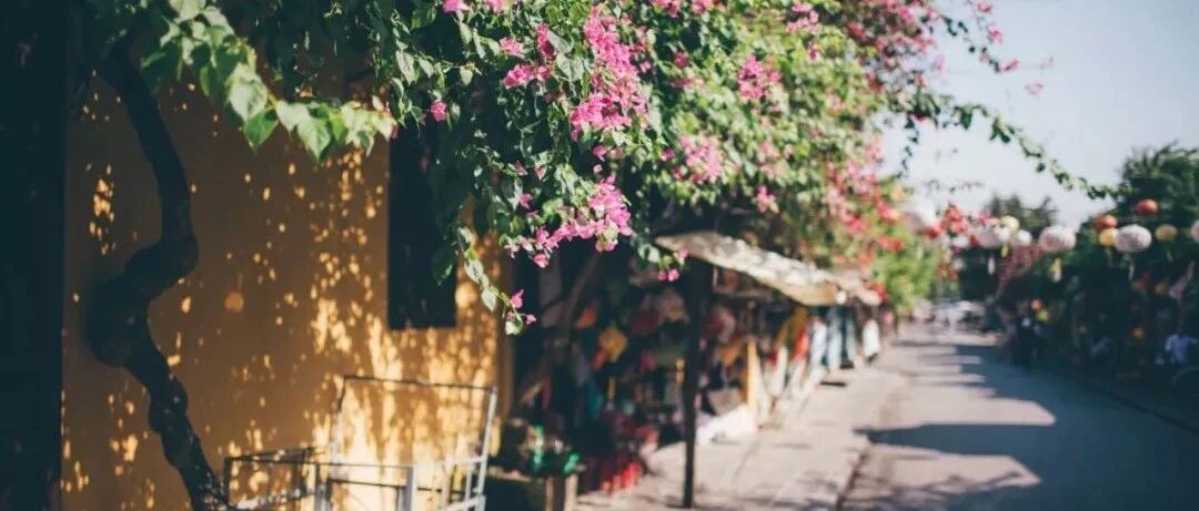 越南的这座小城，你玩对了吗？