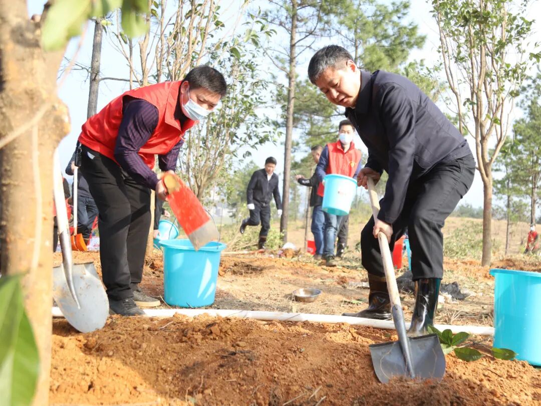 严华华学健等市领导参加义务植树活动_邵阳头条网