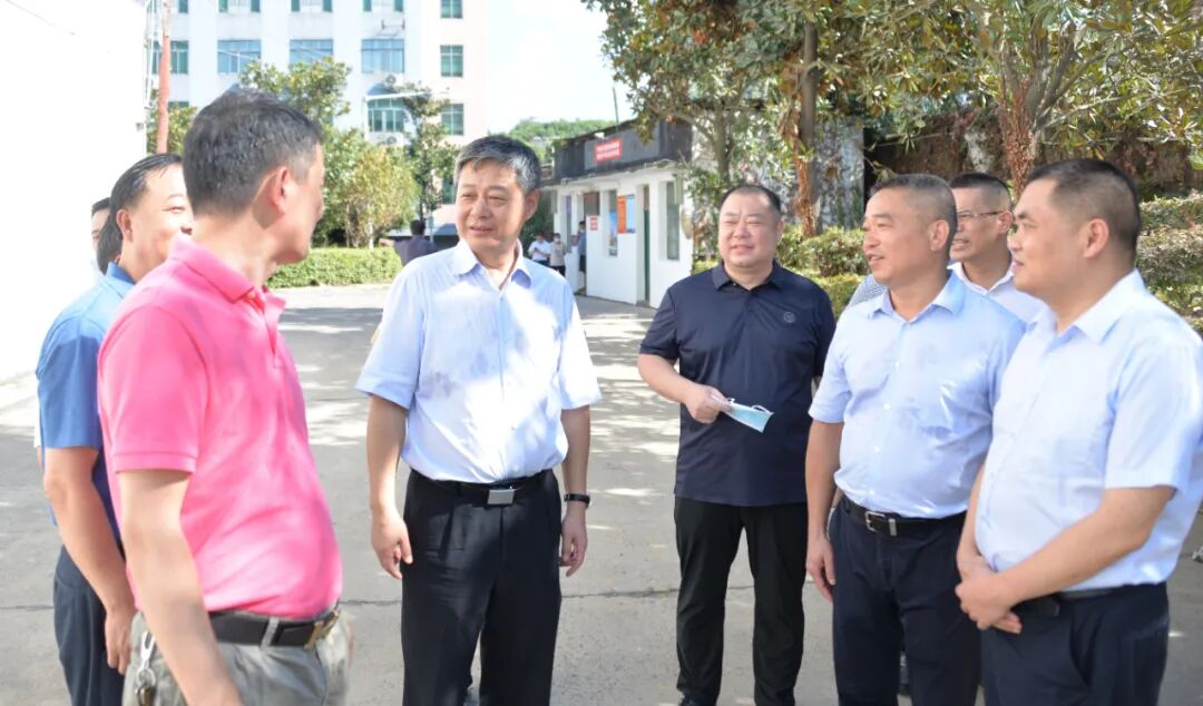 严华在市区调研粮食收购工作_邵阳头条网