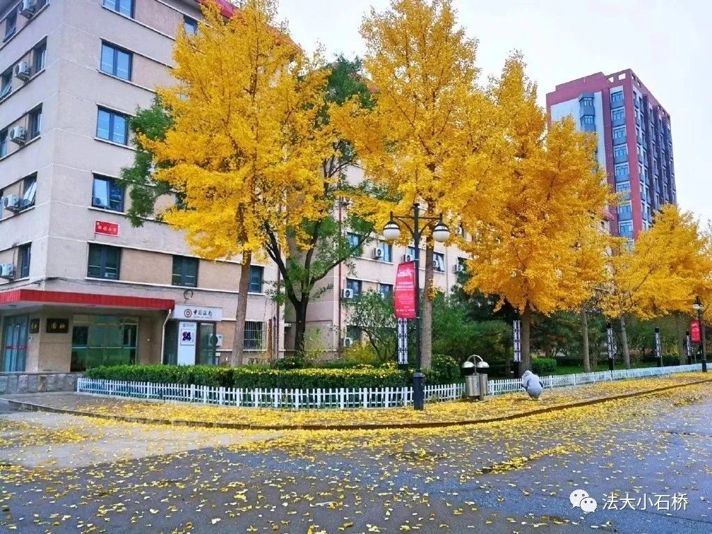 学会新知识_新知识学什么好_如何学新知识