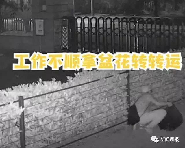 深夜抓住个“采花大盗”！理由竟是为了“转运”…（视频/组图） - 4