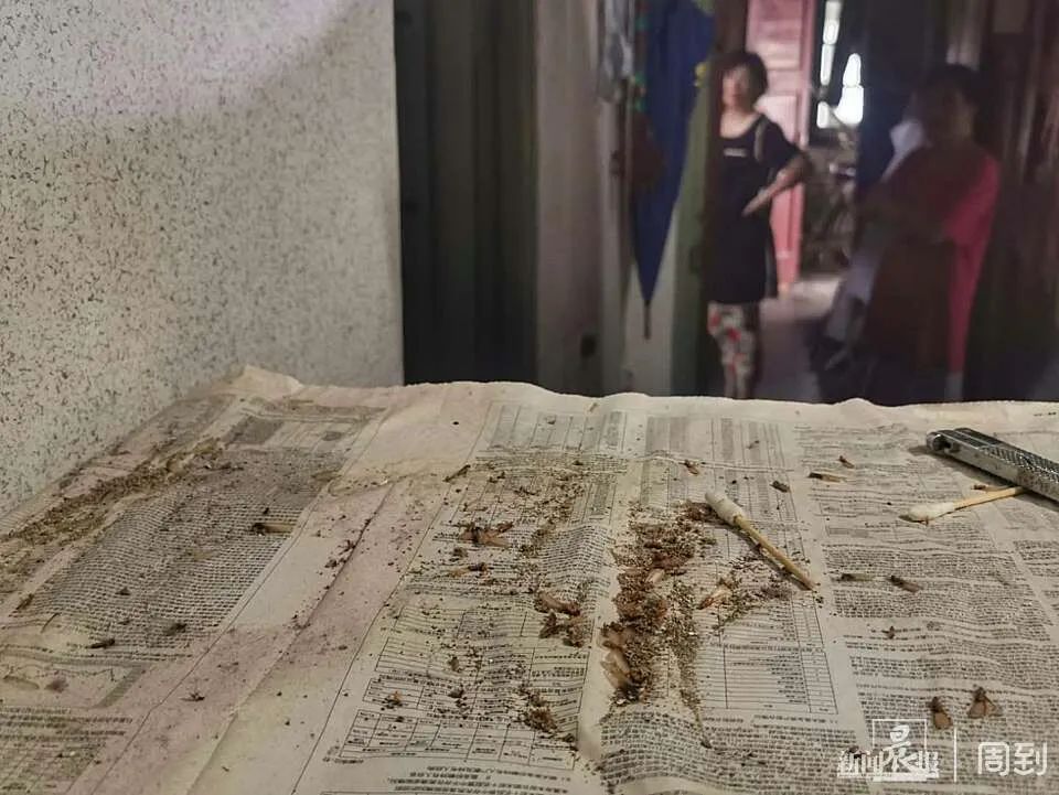 天擎殺蟲(chóng)煙劑_殺蟲(chóng)粉能不能殺蛀木蟲(chóng)_木地板殺蟲(chóng)劑哪個(gè)好