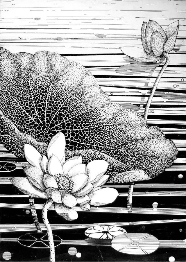 山君课堂黑白装饰画之图形变形手法