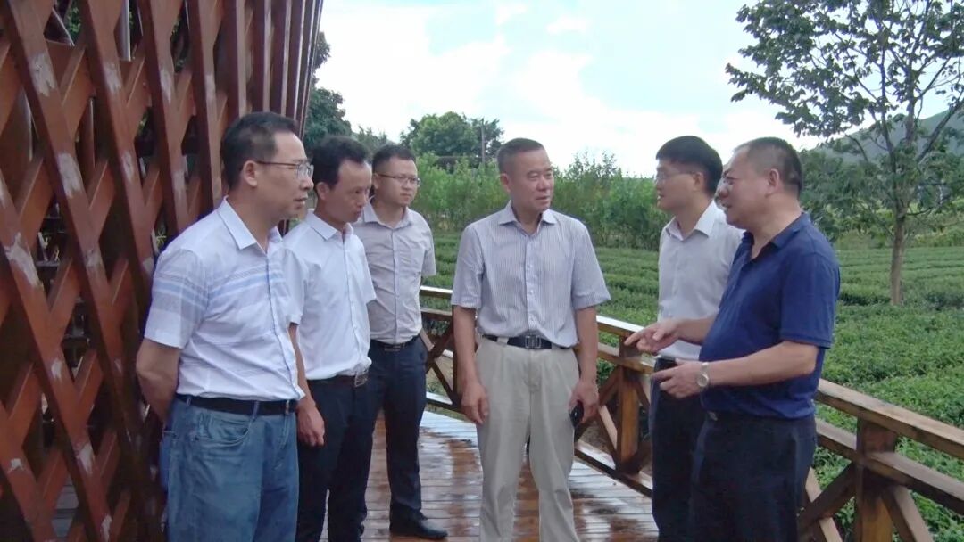 浙江省政府特约研究员孙厚军等学习考察团一行先后到海亮生态农业海丰