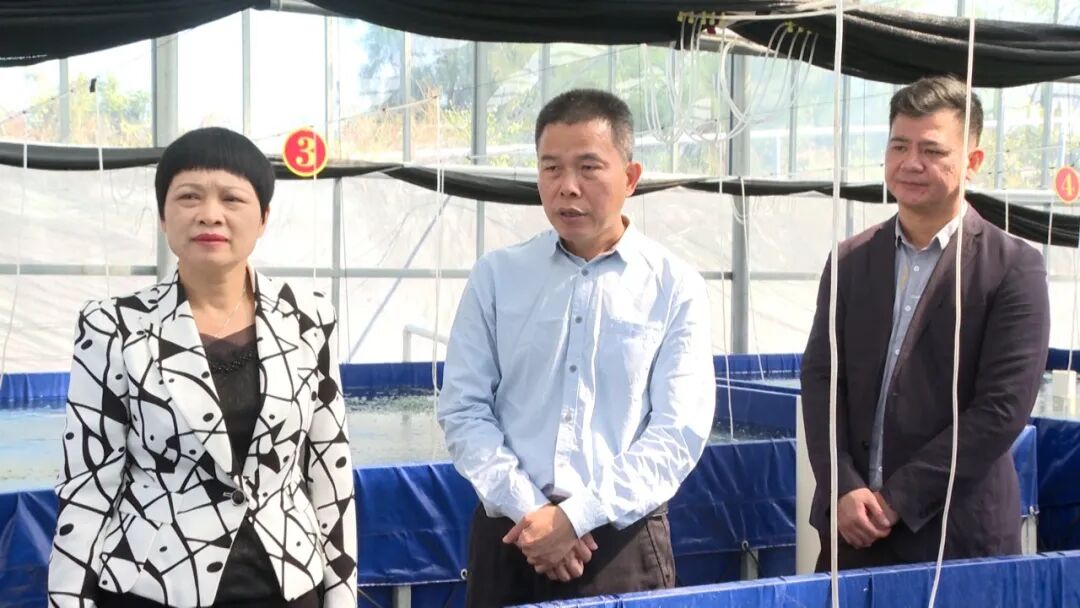 范秉康率队督导滨海生态乡村振兴示范带项目建设情况