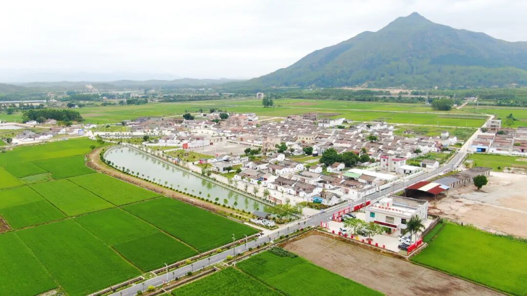 城东大嶂:外嫁女喜看家乡新变化_海丰县人民政府