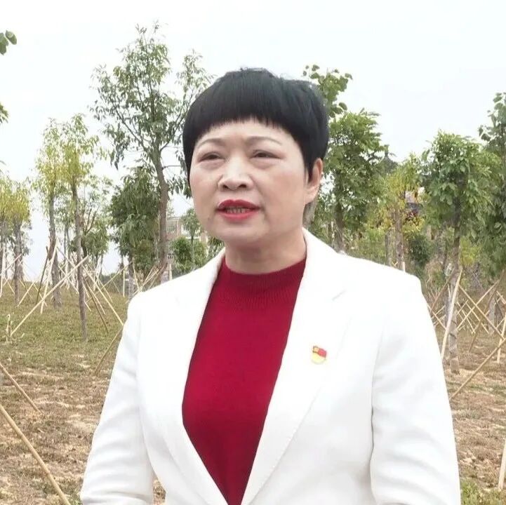 海丰县人民政府副县长 县绿美办主任 蔡碧霞:按照省委,省政府工作部署