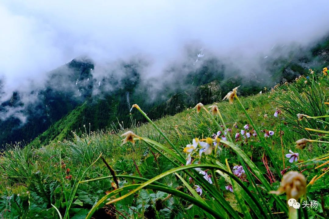 烏孫幾百裡，橫跨出天山 旅遊 第44張