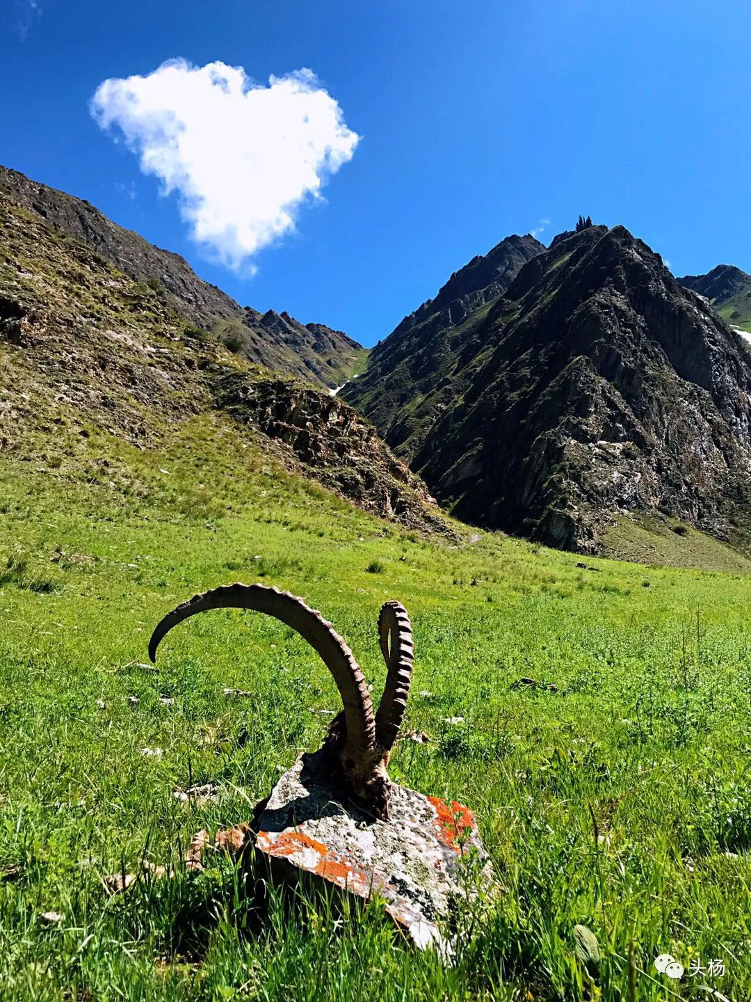 烏孫幾百裡，橫跨出天山 旅遊 第57張