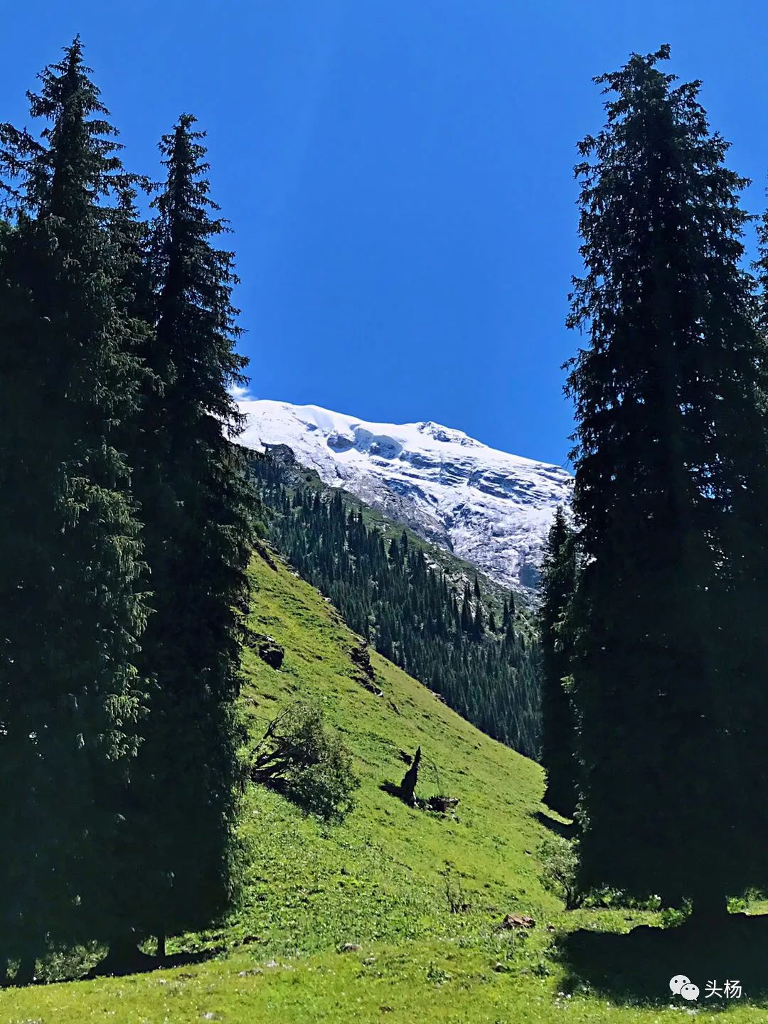 烏孫幾百裡，橫跨出天山 旅遊 第59張