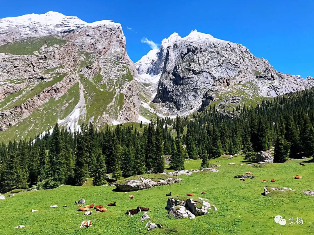 烏孫幾百裡，橫跨出天山 旅遊 第62張