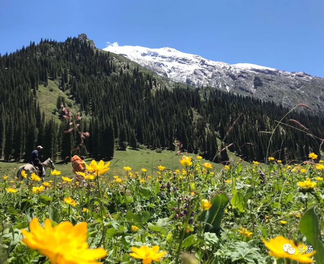 烏孫幾百裡，橫跨出天山 旅遊 第60張