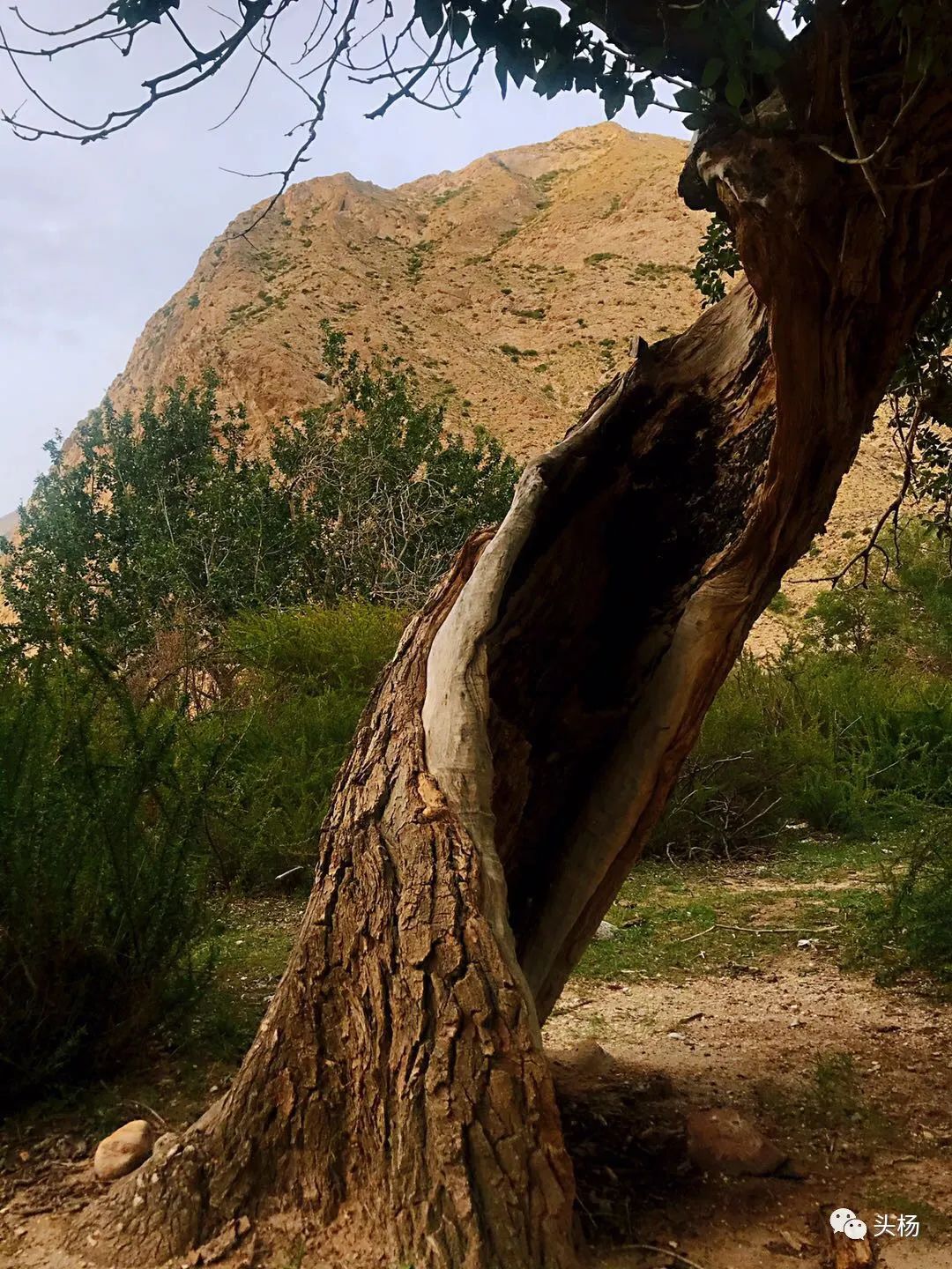 烏孫幾百裡，橫跨出天山 旅遊 第112張