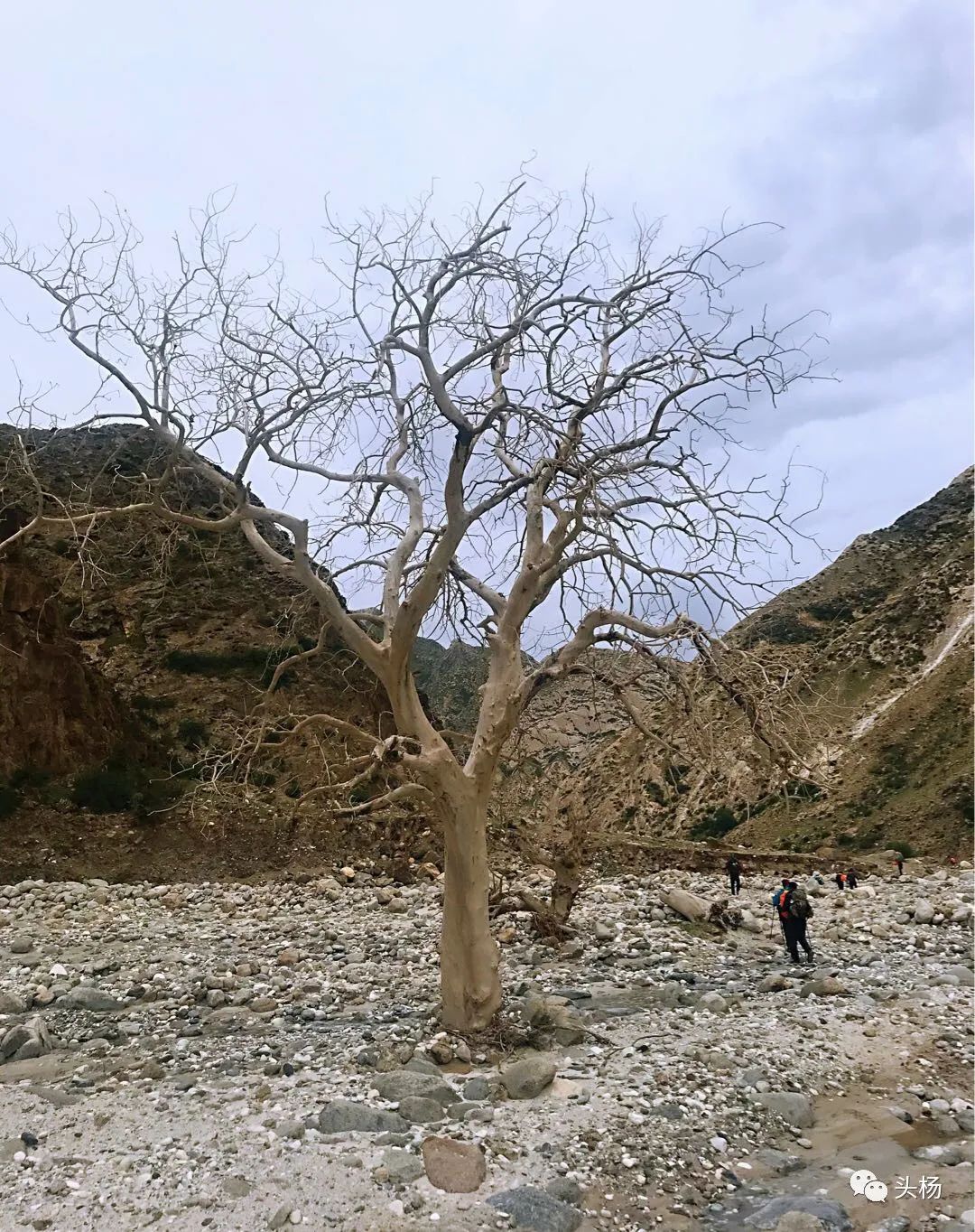 烏孫幾百裡，橫跨出天山 旅遊 第109張