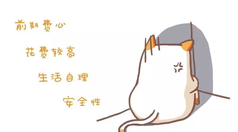 租房前必看∣整租?租单间??到底怎么选?!插图5