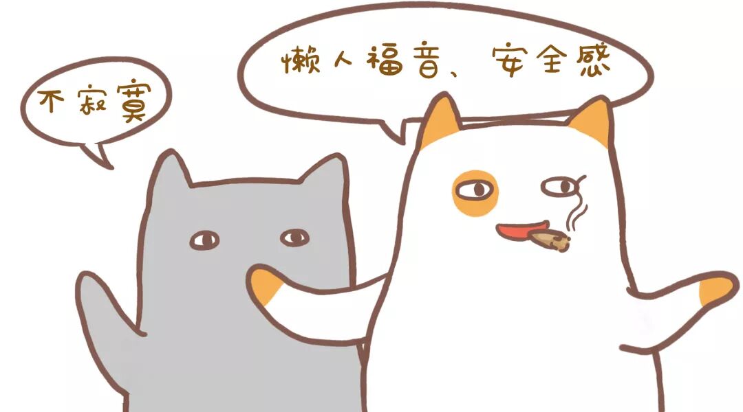 租房前必看∣整租?租单间??到底怎么选?!插图7