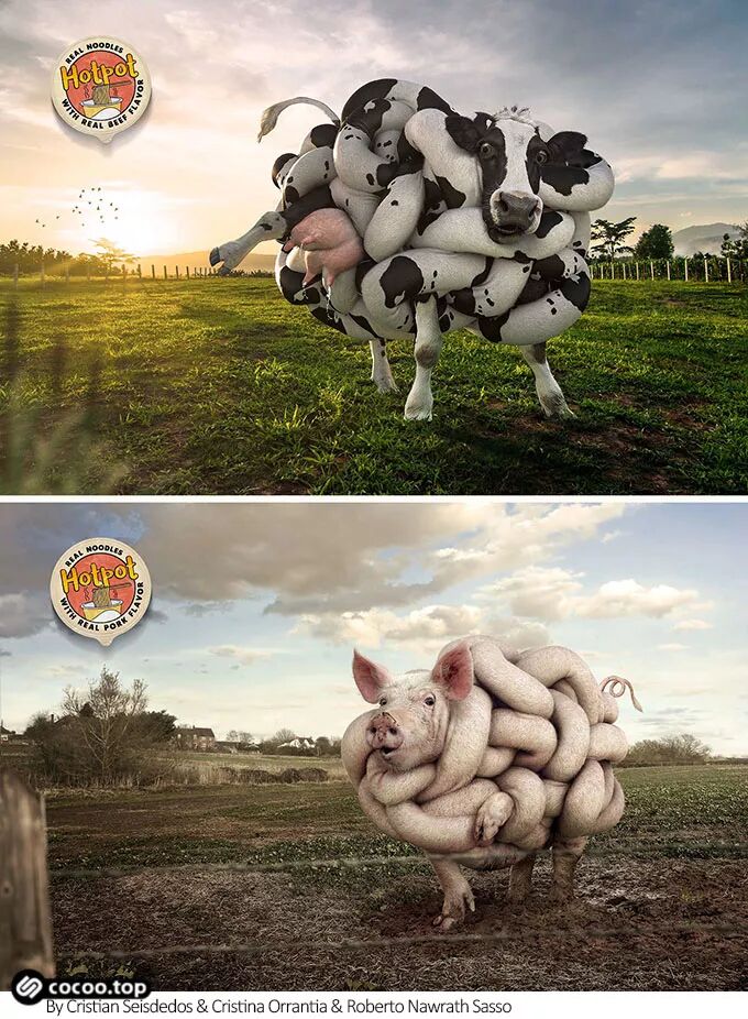 平面设计基本功！点、线、面