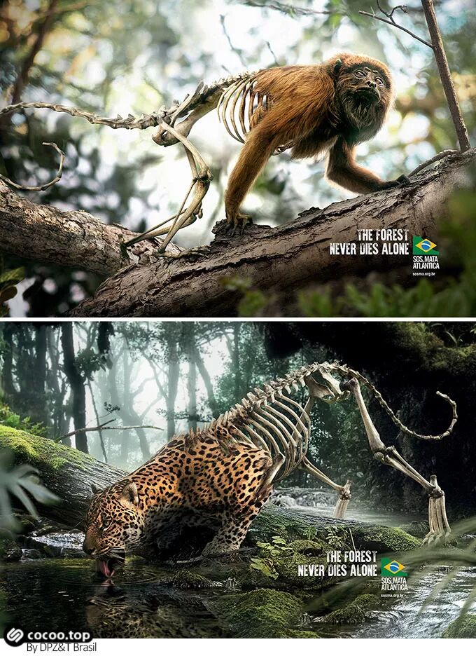 图形设计也需要心理学？