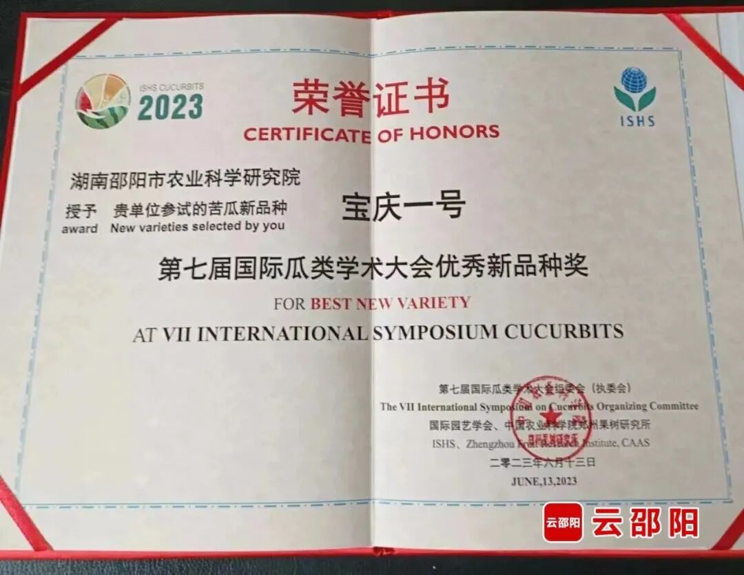 邵阳这个瓜，厉害了！_邵阳头条网