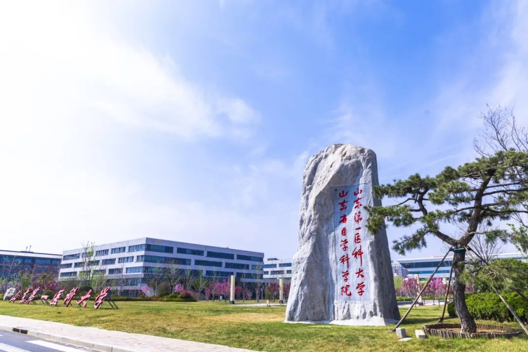 山东第一医科大学官网图片