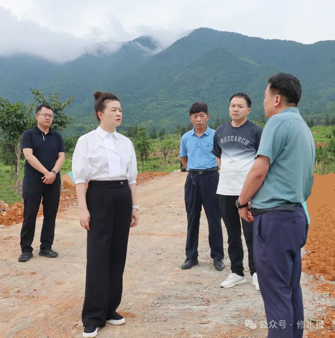 刘婕到宁州上奉漫江考察调研_政务要闻_修水县委县