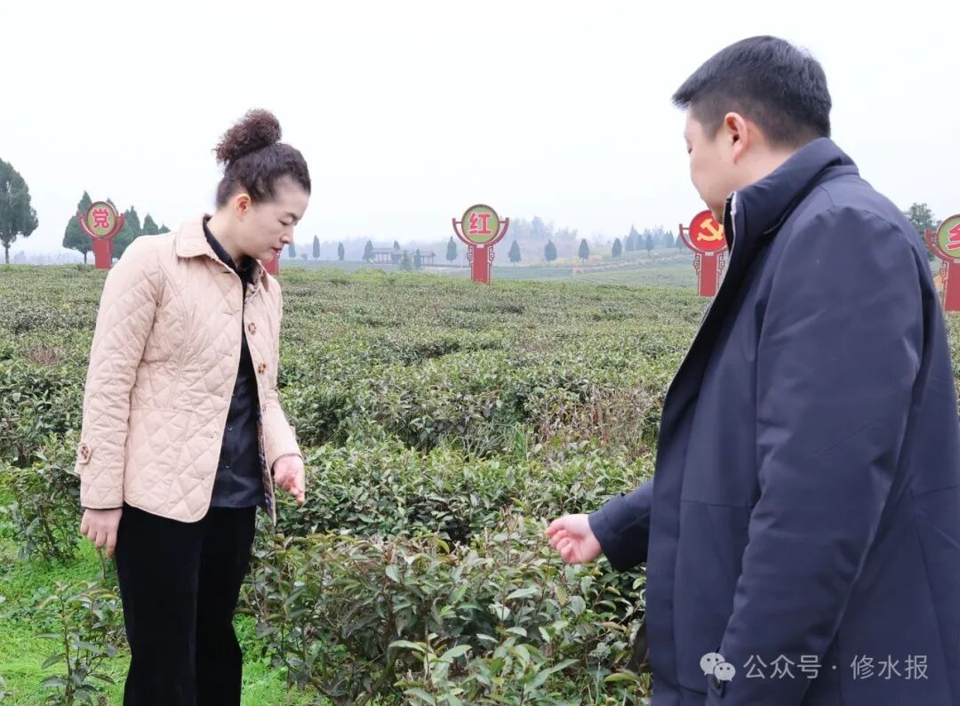 刘婕深入上杭乡督导工作