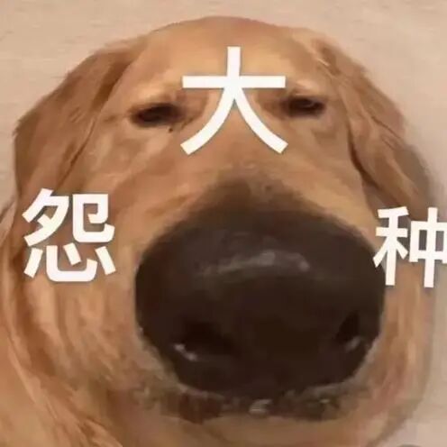 曝名媛Naomi涉嫌诈骗被刑拘！私刻公章诈骗1个亿，豪宅豪车全是租的（组图） - 15