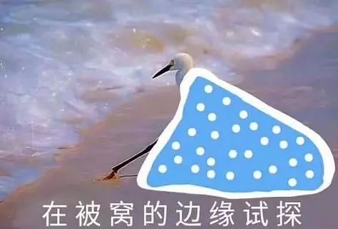 緊急丨暴雪！大暴雪！寧夏氣象台發布重要消息！ 遊戲 第10張