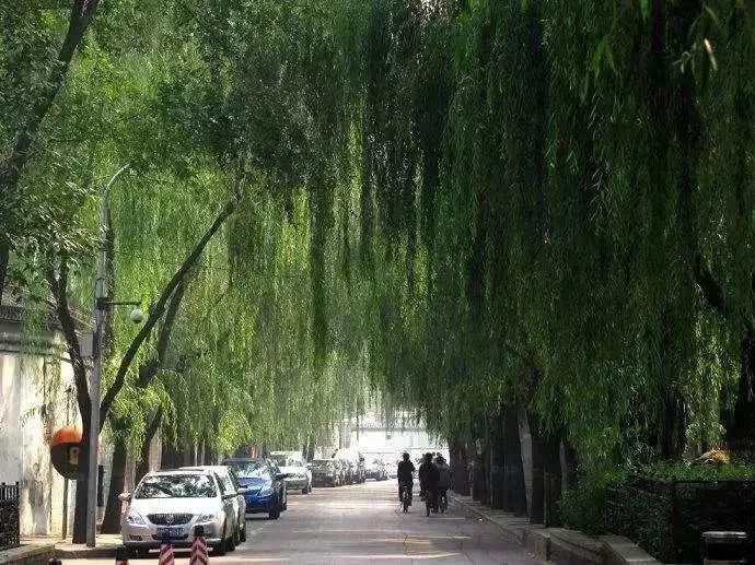 據說北京城里這幾條街，大有講究，暗藏玄機！ 歷史 第32張