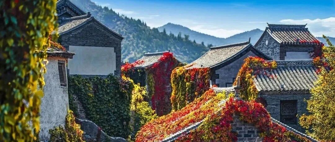 红了红了，这个秋天，TA彻底红了！