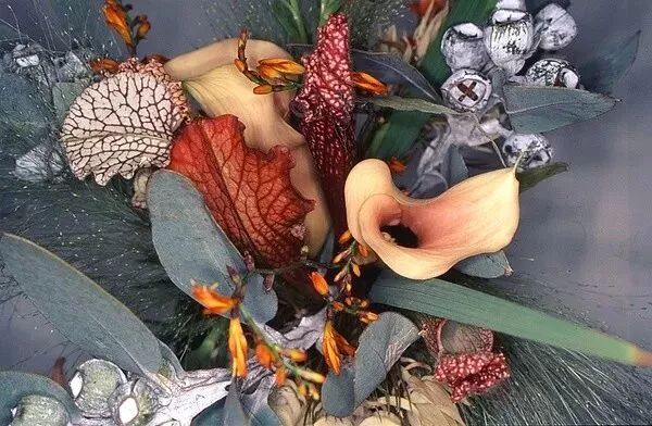 军事博物馆的票价_军事博物馆现场买票_军事博物馆门票多少钱