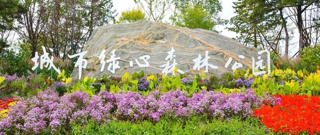 这个刚刚开放的免费公园，比颐和园还大，三十六景，一天也逛不完！