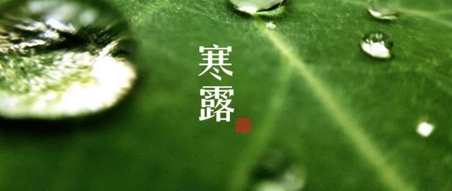 今天寒露，吃什么节气美食养精蓄锐？都是北京人爱吃的！