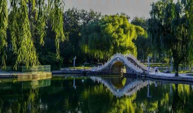 京城最值得一逛的老公園，景色堪比頤和園，神獸文化遍布滿園！ 旅行 第16張