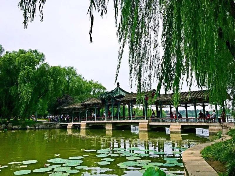 京城最值得一逛的老公園，景色堪比頤和園，神獸文化遍布滿園！ 旅行 第29張