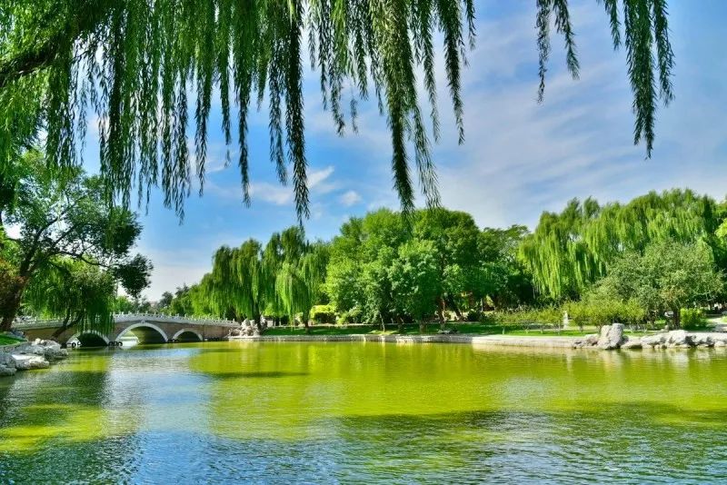 京城最值得一逛的老公園，景色堪比頤和園，神獸文化遍布滿園！ 旅行 第3張