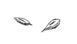 牌局里的苏明哲们：给你800万，你还是会变成穷人