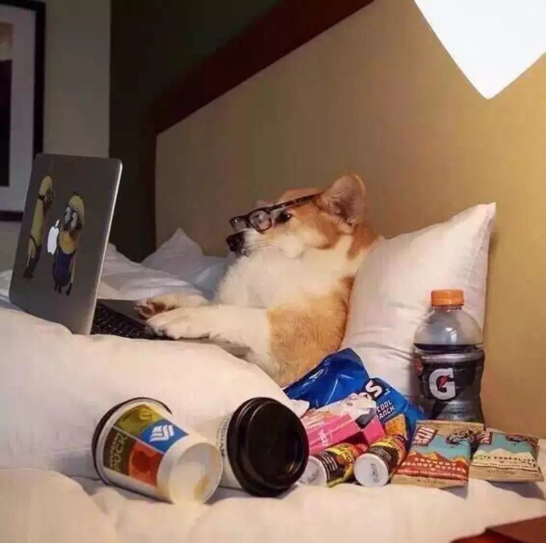 晒一晒众德扑玩家的打牌环境