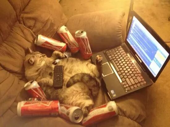 晒一晒众德扑玩家的打牌环境