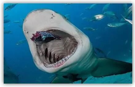 【角度】《安家》映射出德扑玩家的五大类型，你是哪一种？