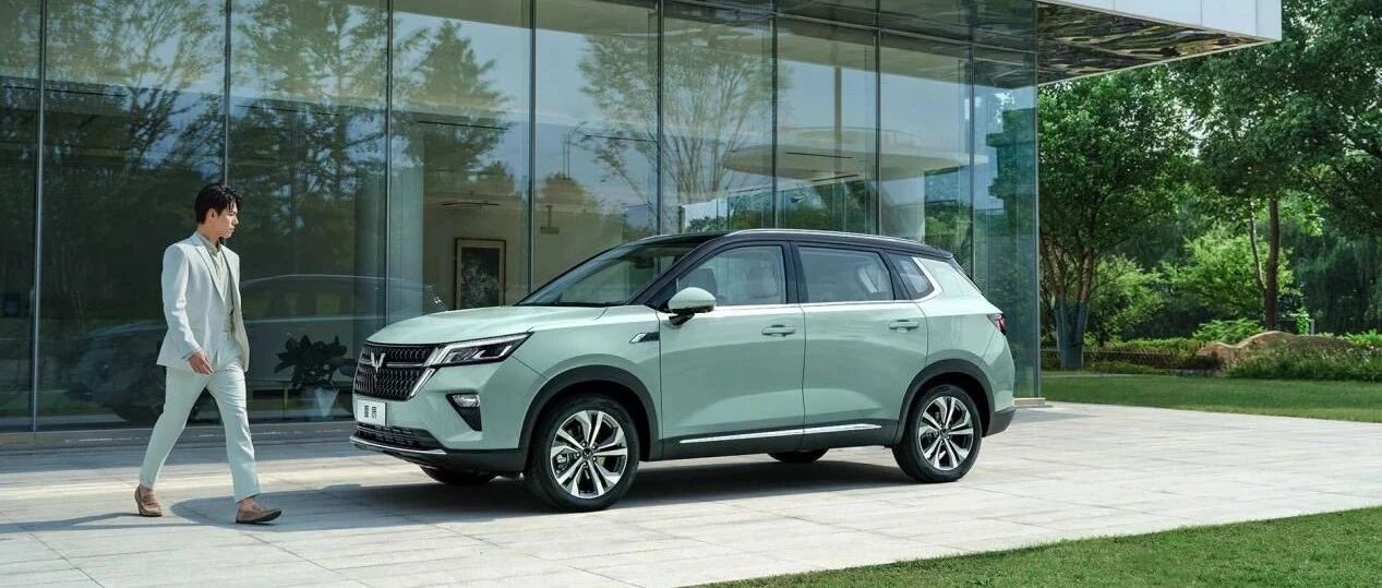 年轻人的新国货座驾，10万以内最能打SUV？