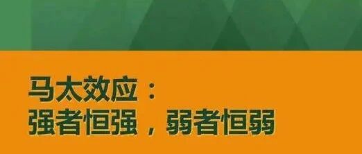 马太效应加剧，6月豪华品牌市场份额创新高