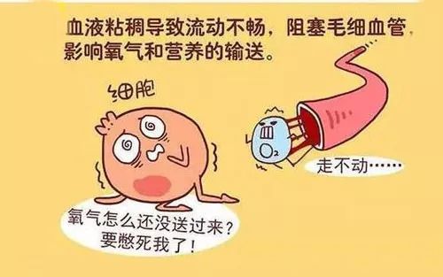 高膽固醇與心血管疾病直接有什麼關係？ 健康 第3張