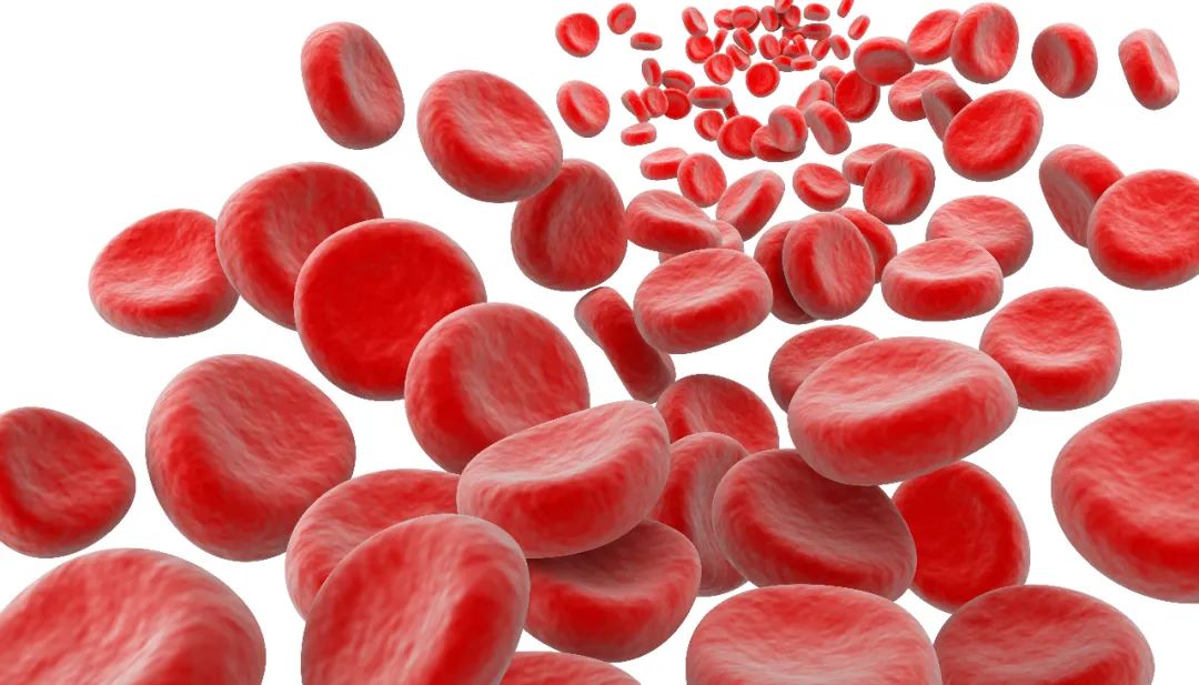 为什么我们的身体里会有血栓?预防血栓的原则