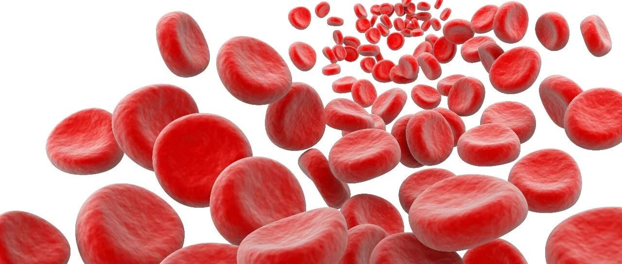 动脉硬化和动脉粥样硬化有什么区别？