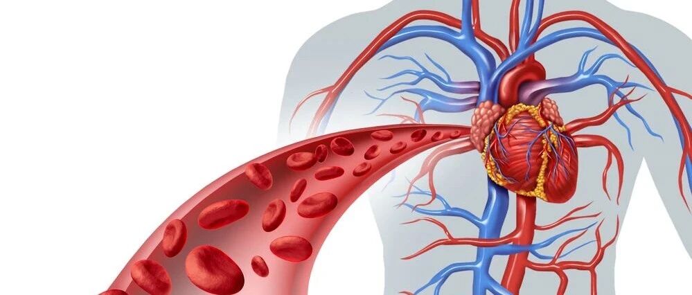 年纪大了容易血液粘稠？那么，身体有什么表现？