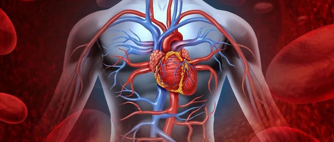 血液粘稠度高怎么办？学起这几招就不怕了